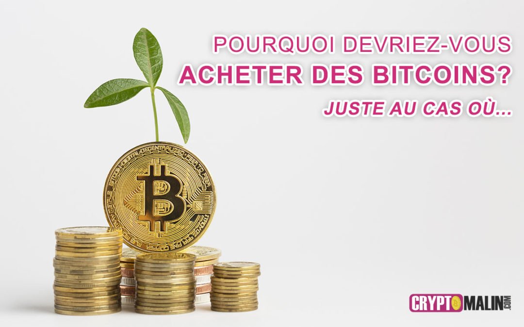 Comprendre Les Crypto-Monnaies,le Bitcoin, L'ethereum, La Blockchain...